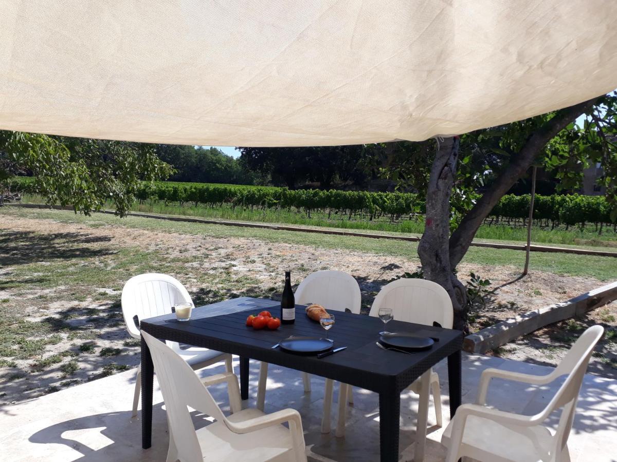 La Petite Maison Dans Les Vignes Chamaret ภายนอก รูปภาพ