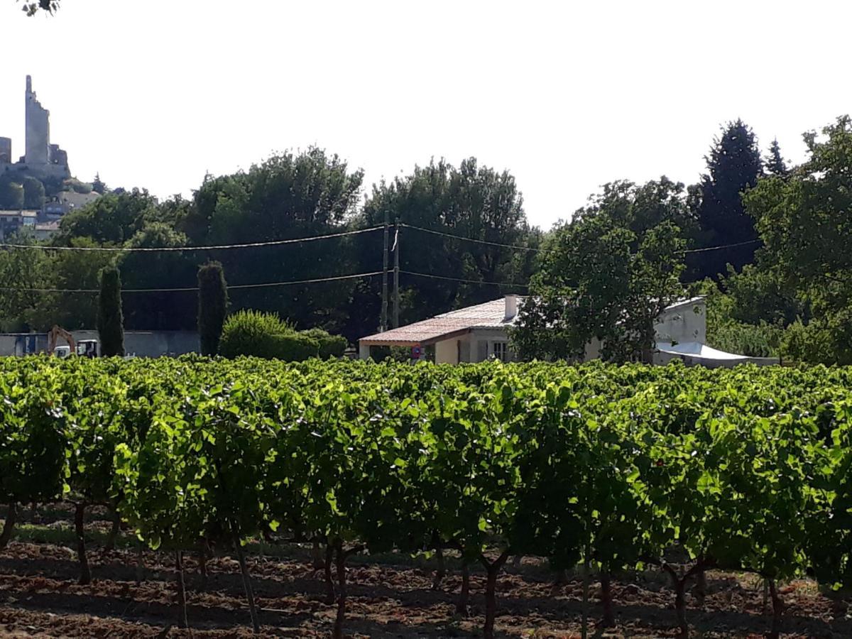 La Petite Maison Dans Les Vignes Chamaret ภายนอก รูปภาพ